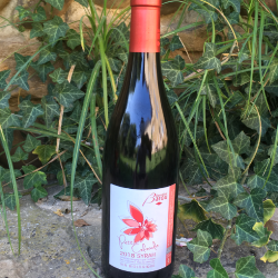 Vin rouge Syrah "Petit Colorado" - Bio